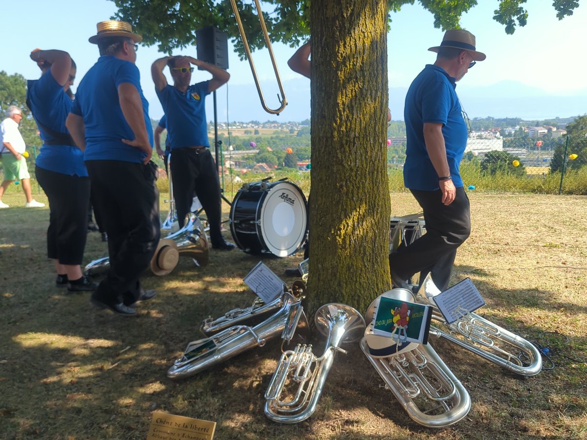 IMG_20250811_163031_699